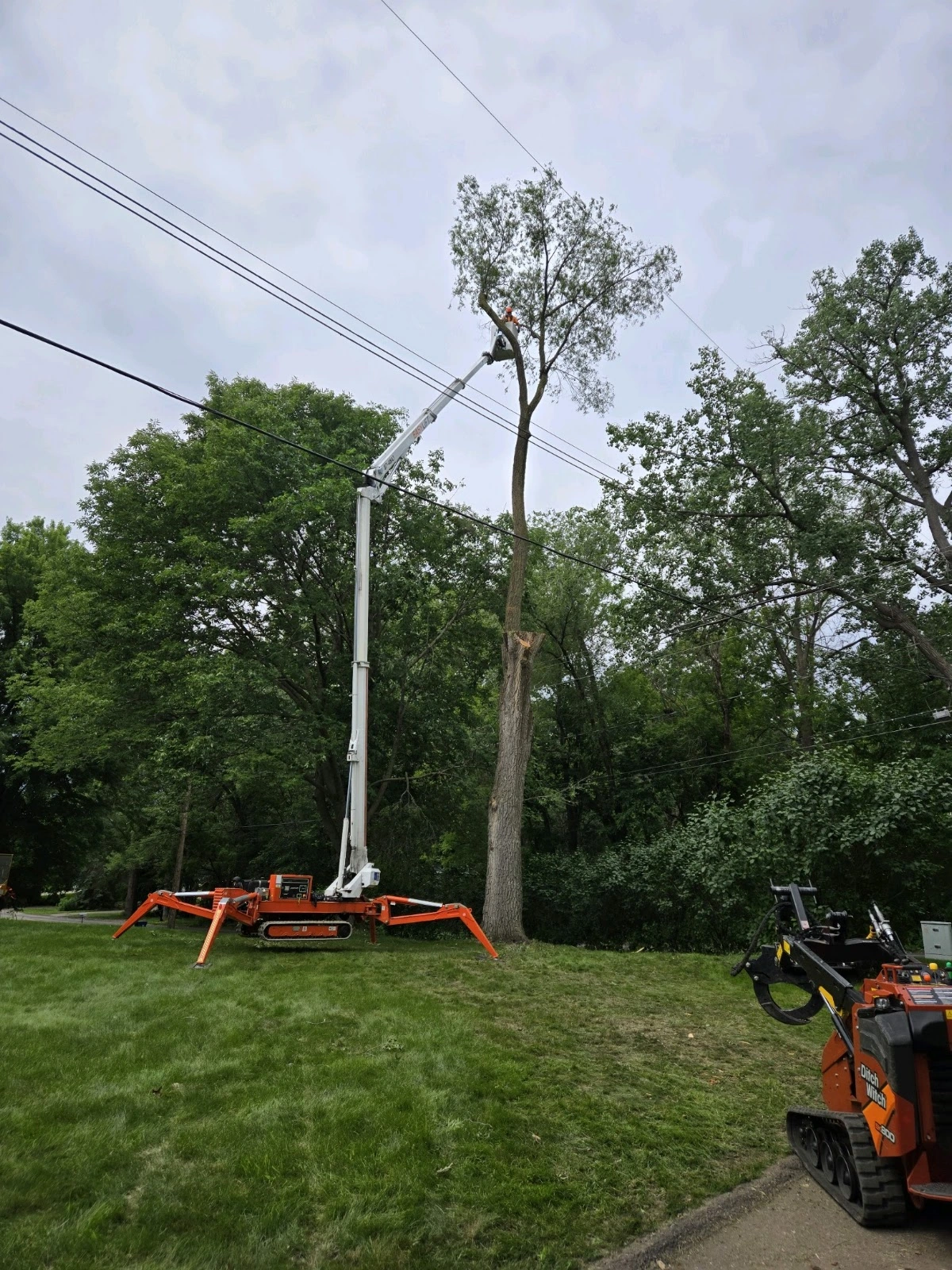 B&M Tree Service & Landscaping