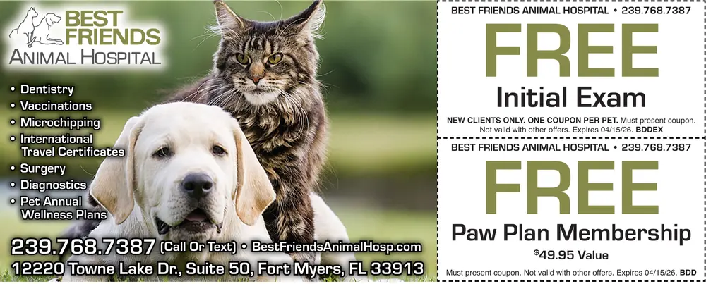 Coupons for Best Friends Animal Hospital
