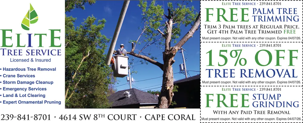 Coupons for Elite Tree Service