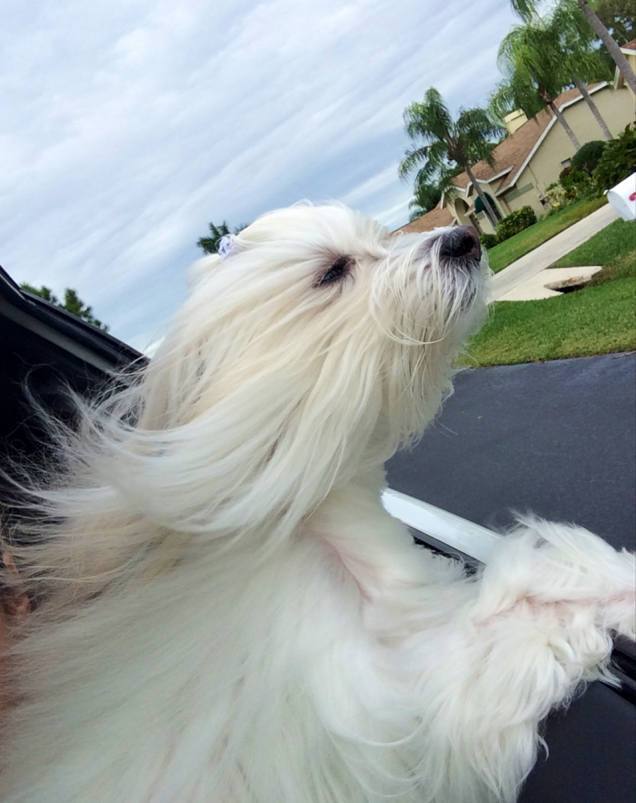 Wright Flooring, Inc.