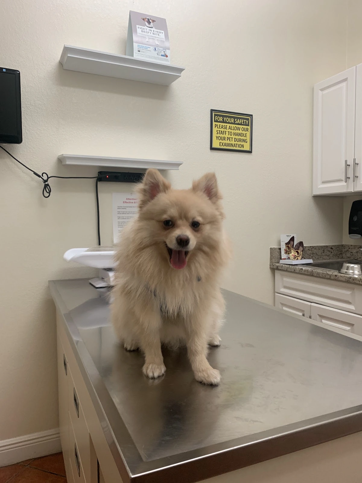 Pet Coral Veterinary Hospital & Resort