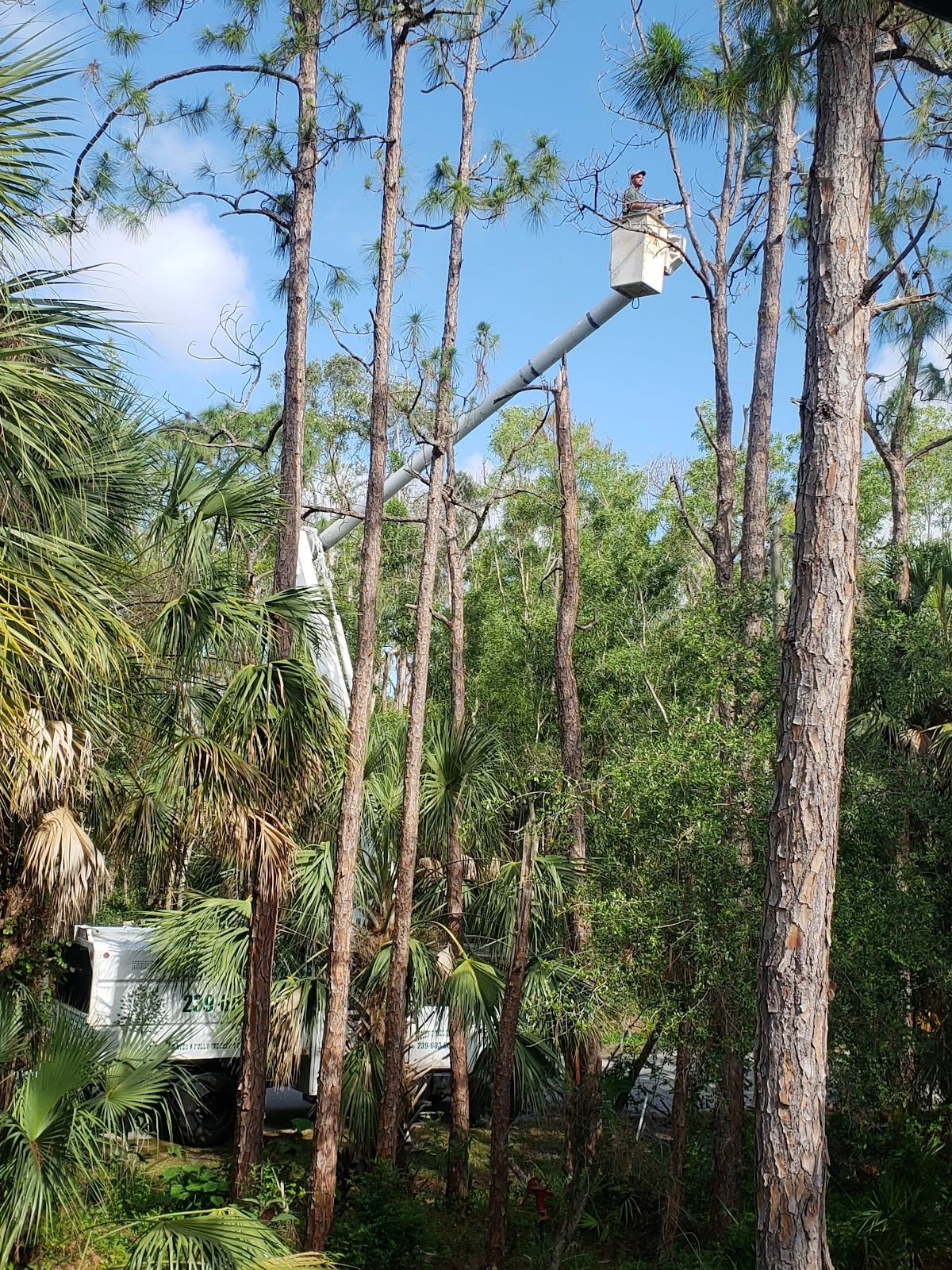 Hudson's Tree Service