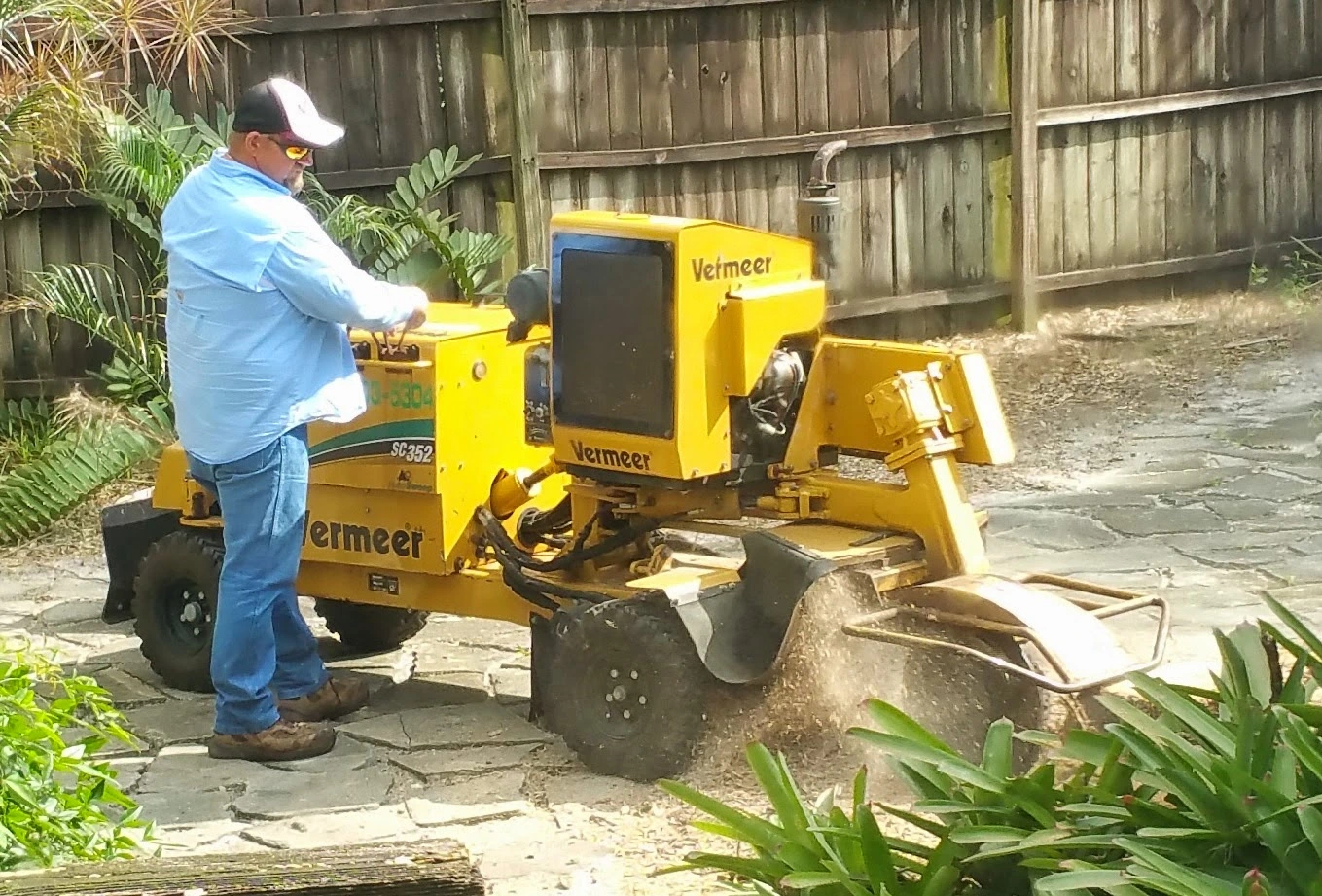 Hudson's Tree Service