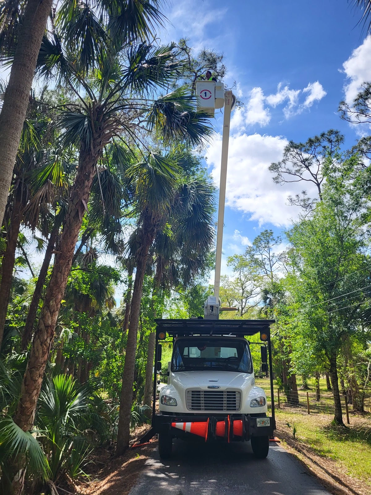 Hudson's Tree Service
