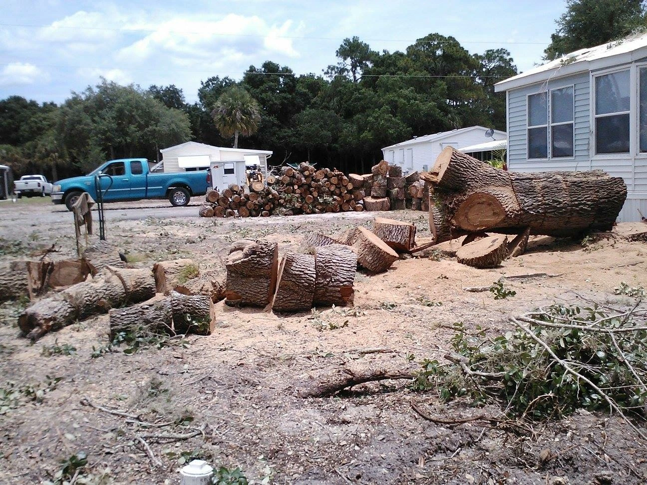 Hudson's Tree Service