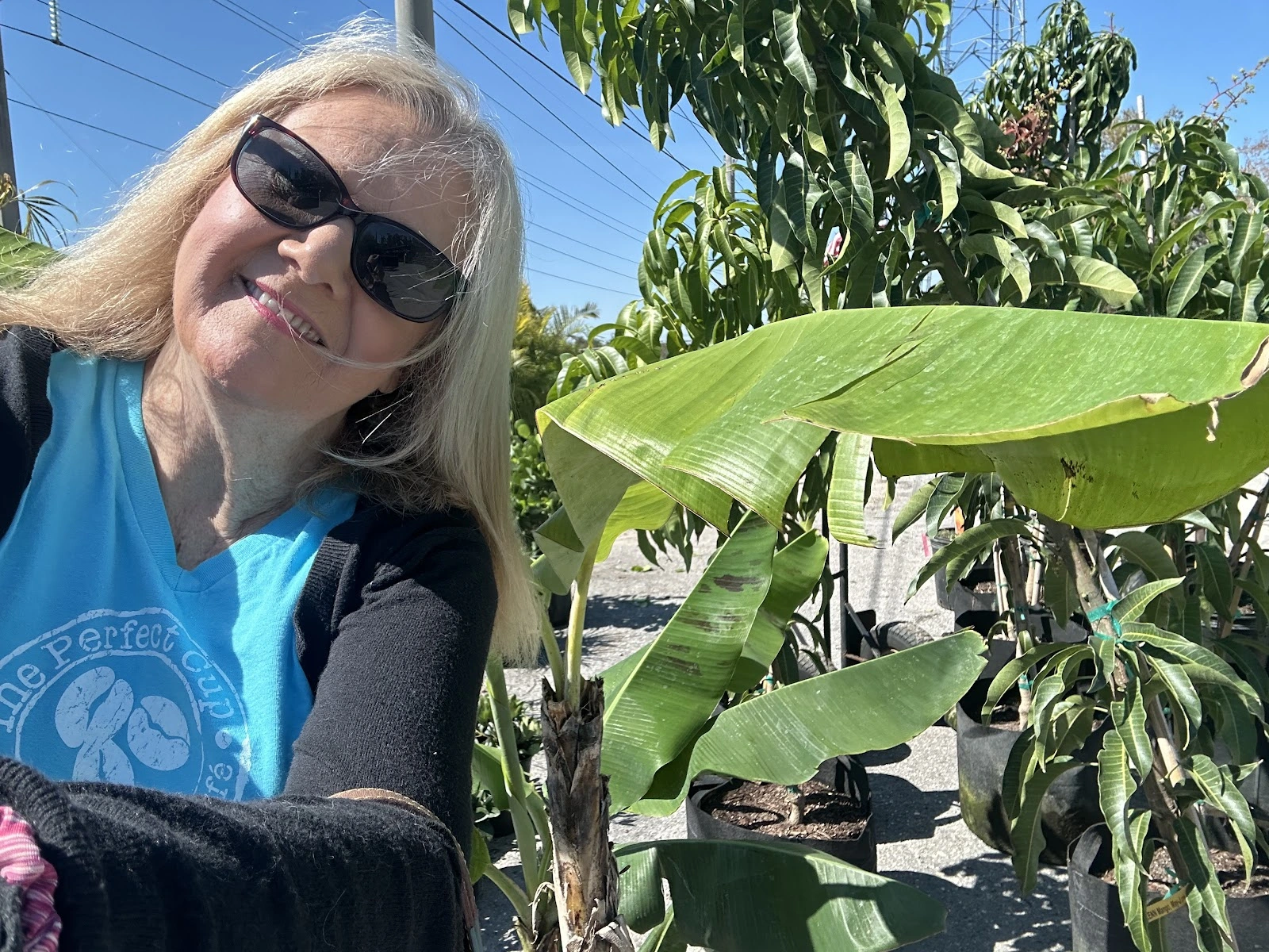 Catherine's Landscape & Garden Center