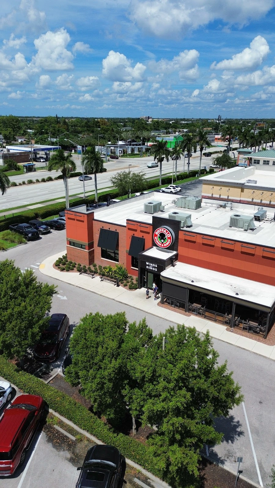 Buffalo Wings & Rings