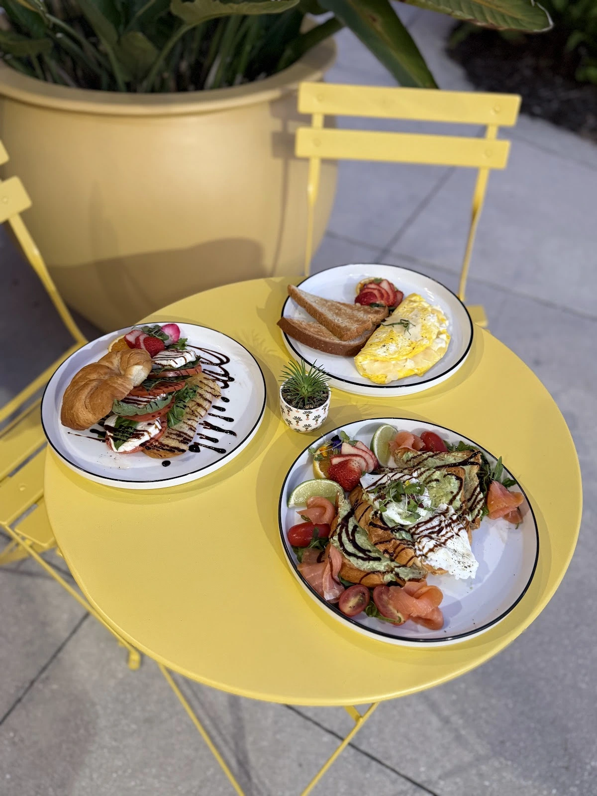 Alba Breakfast & Brunch