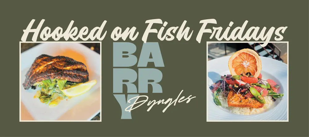 Coupons for Barry Dyngles