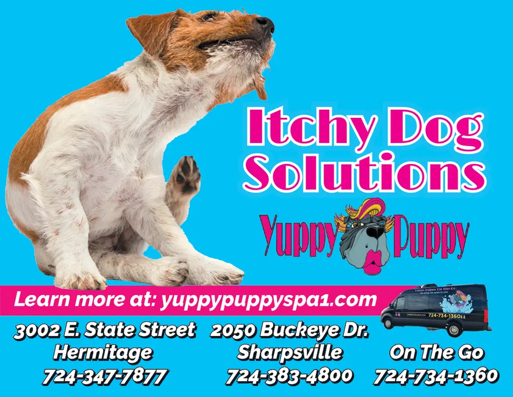 Coupons for Yuppy Puppy