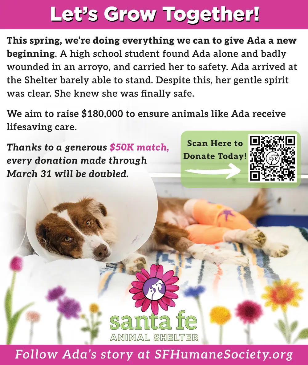 Let's Grow Together!