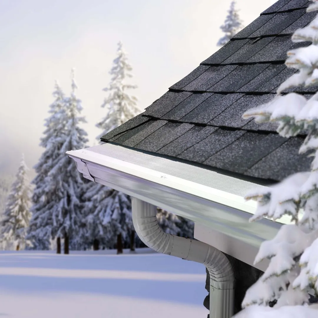 LeafFilter Gutter Protection