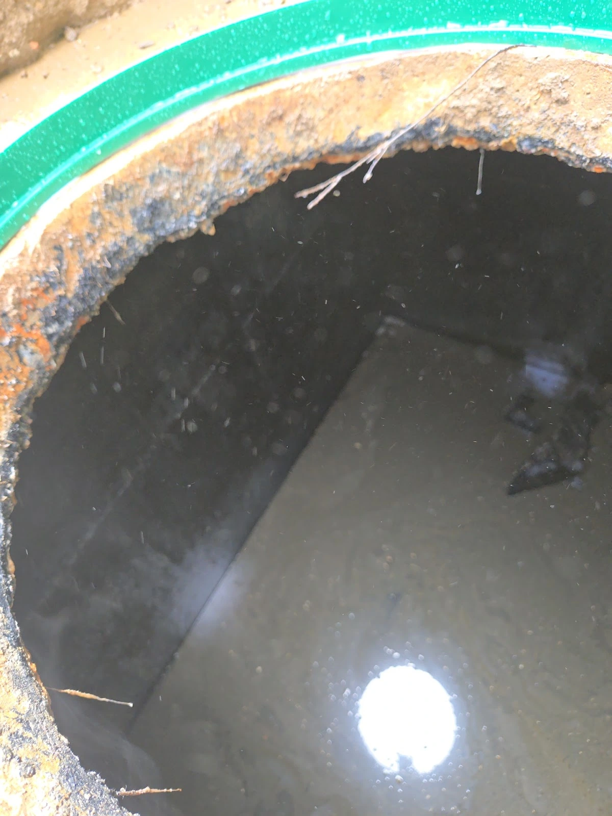 King's Sanitary Service