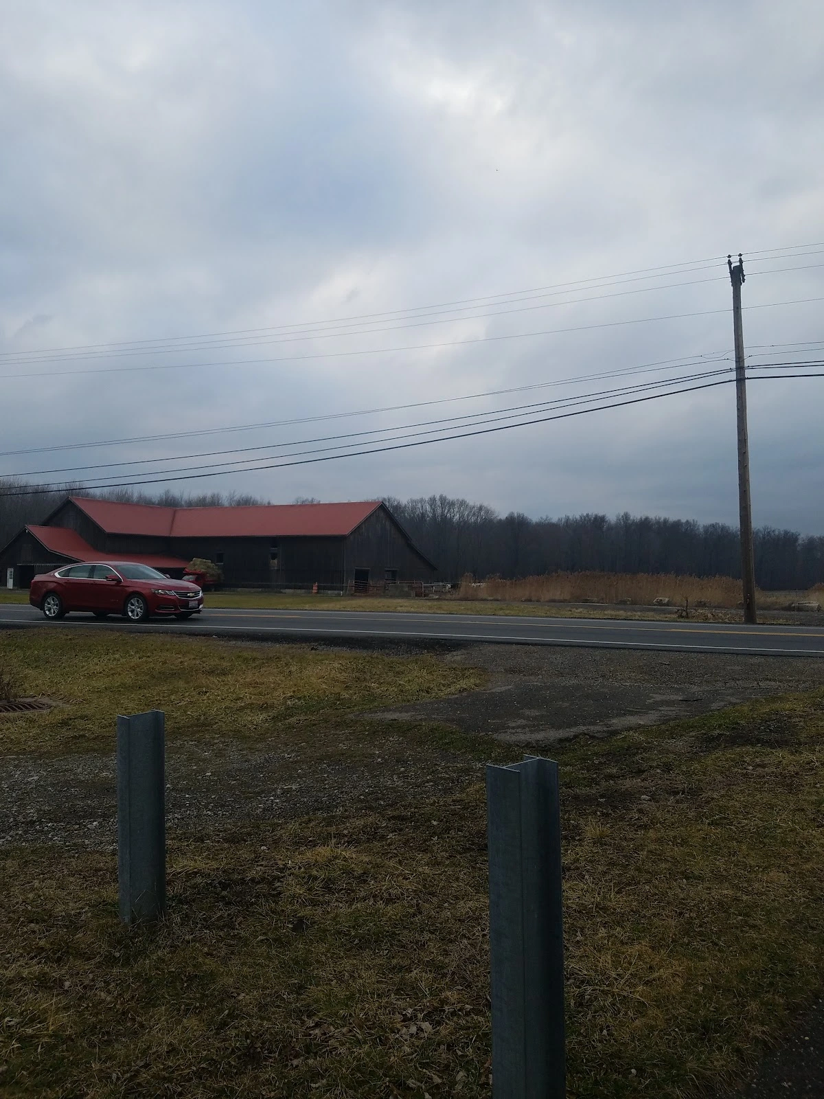 King's Sanitary Service