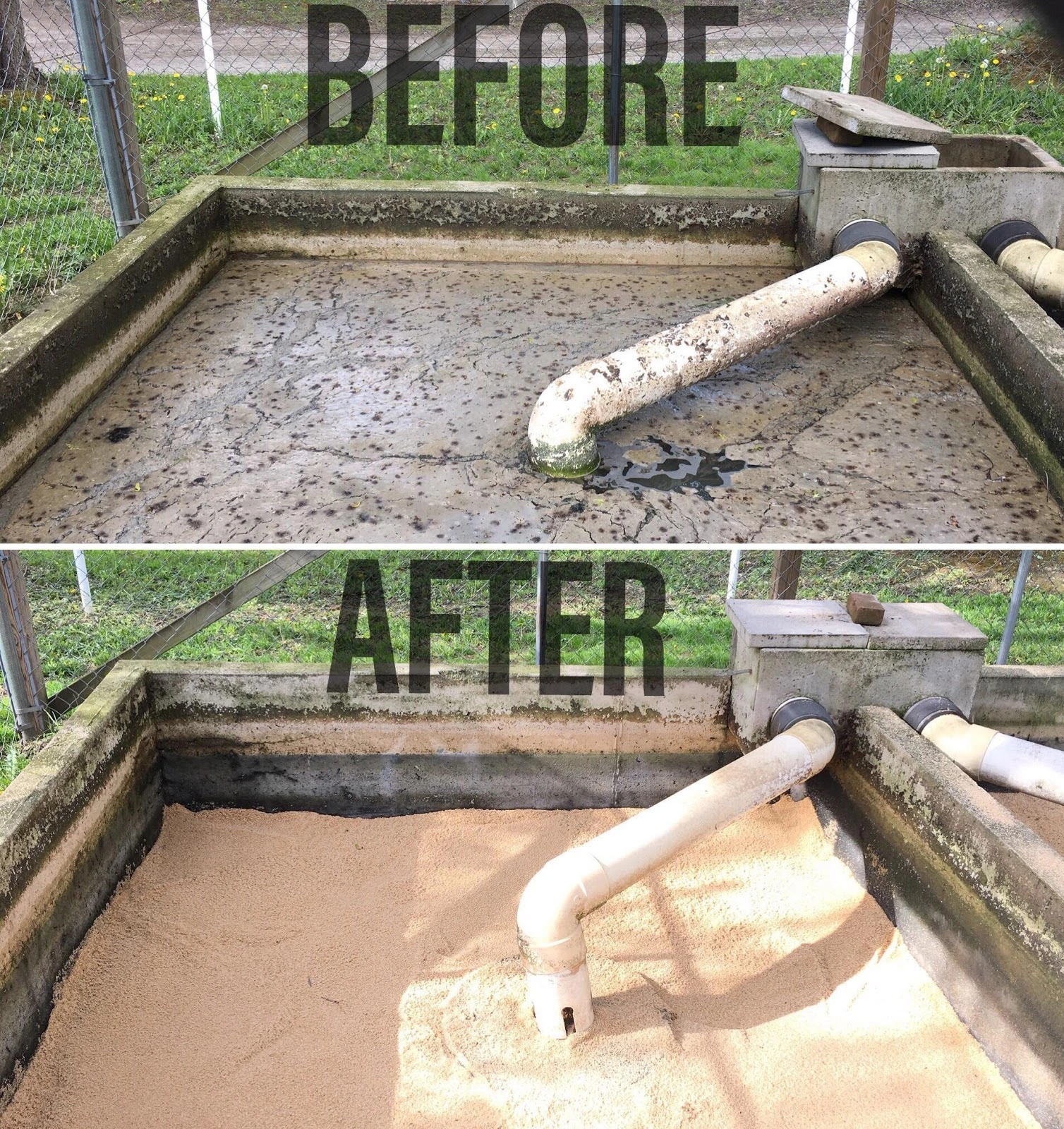 King's Sanitary Service