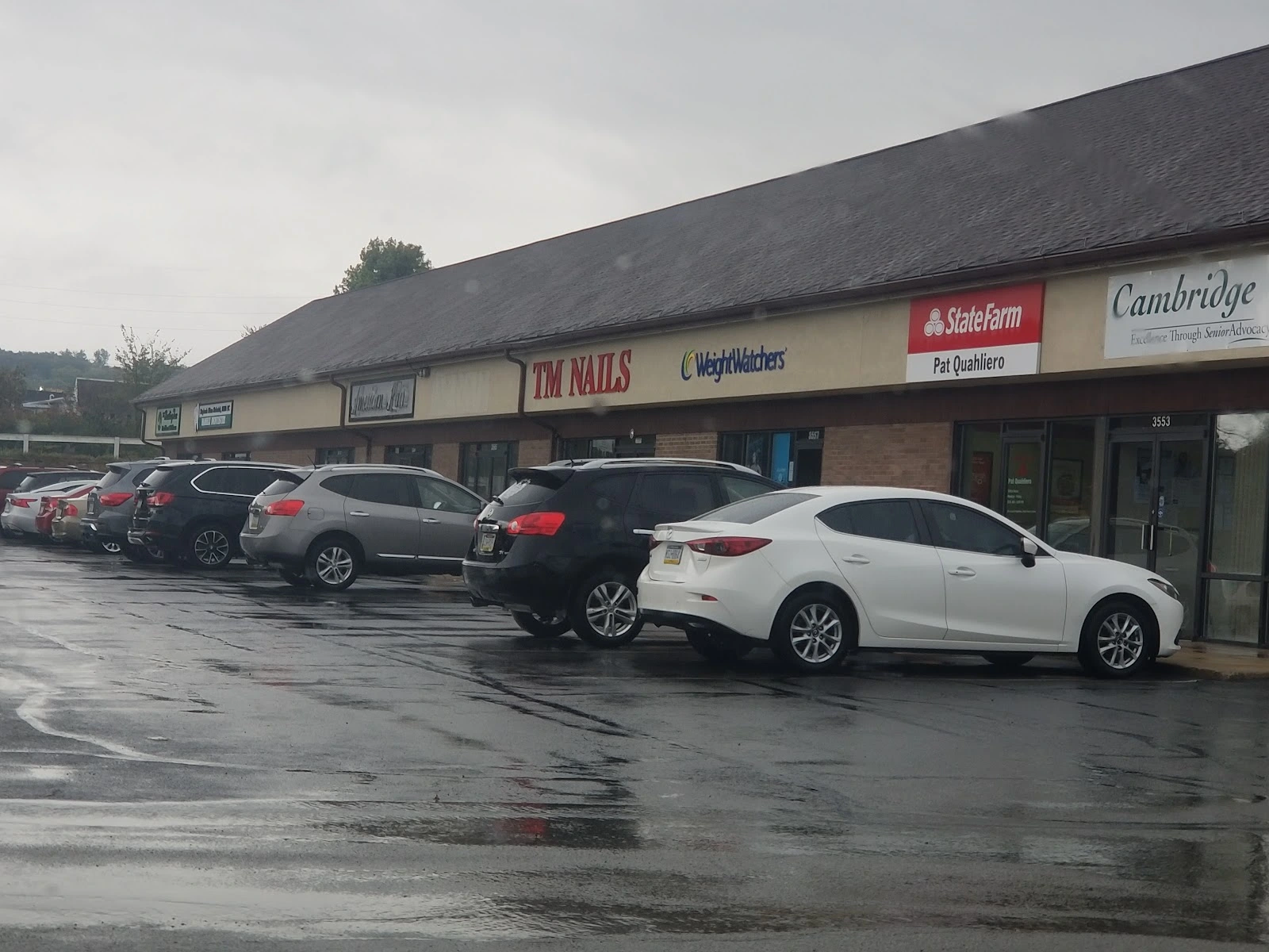 The Healing Tree Nutrition & Wellness