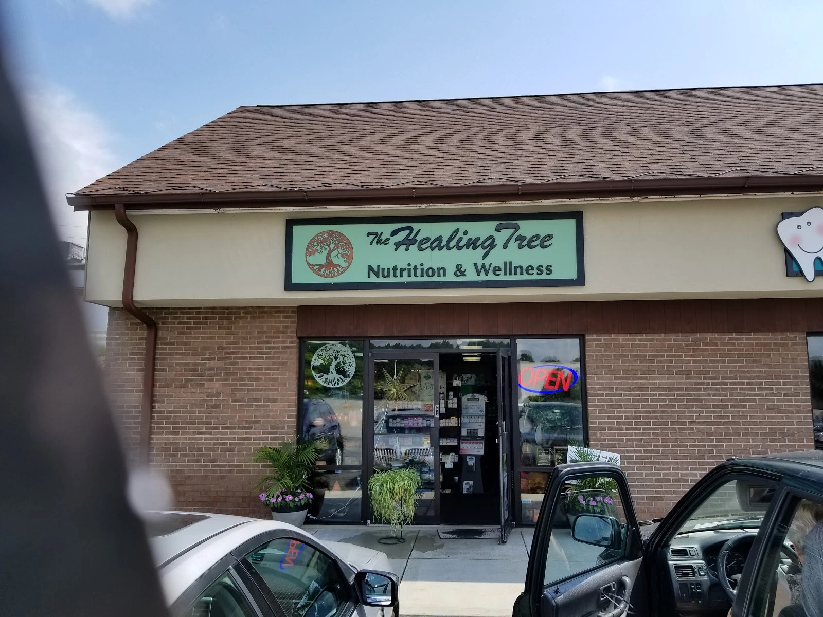 The Healing Tree Nutrition & Wellness