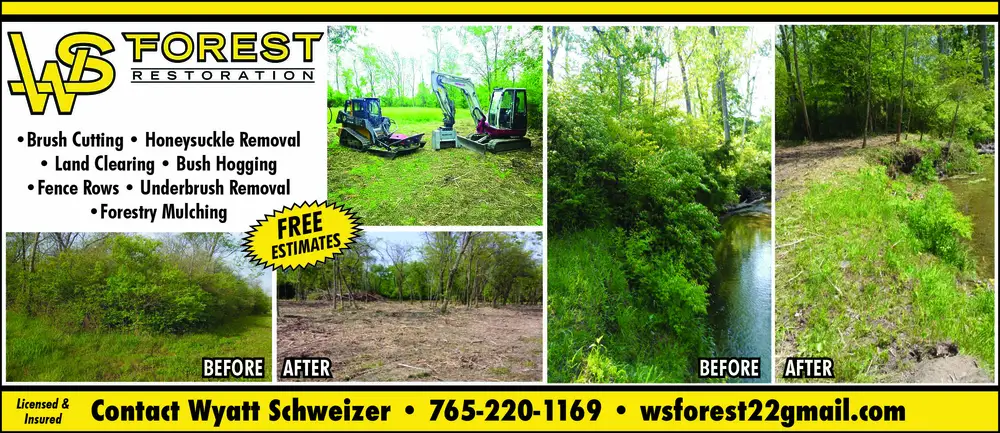 Forest Restoration & Land Clearing in Indiana