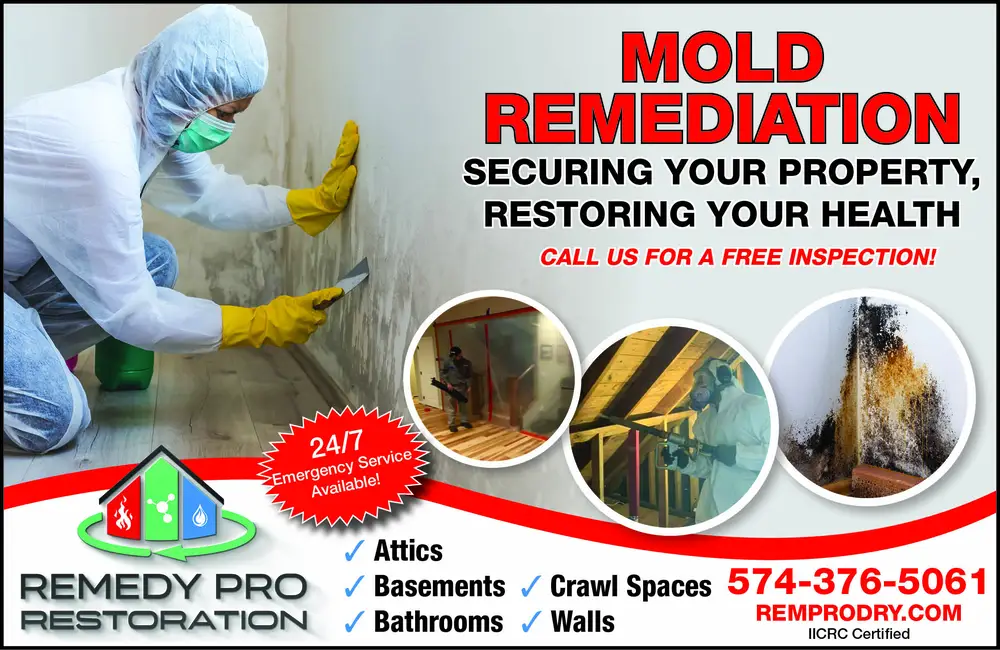 Mold Remediation and Restoration Services in Indiana