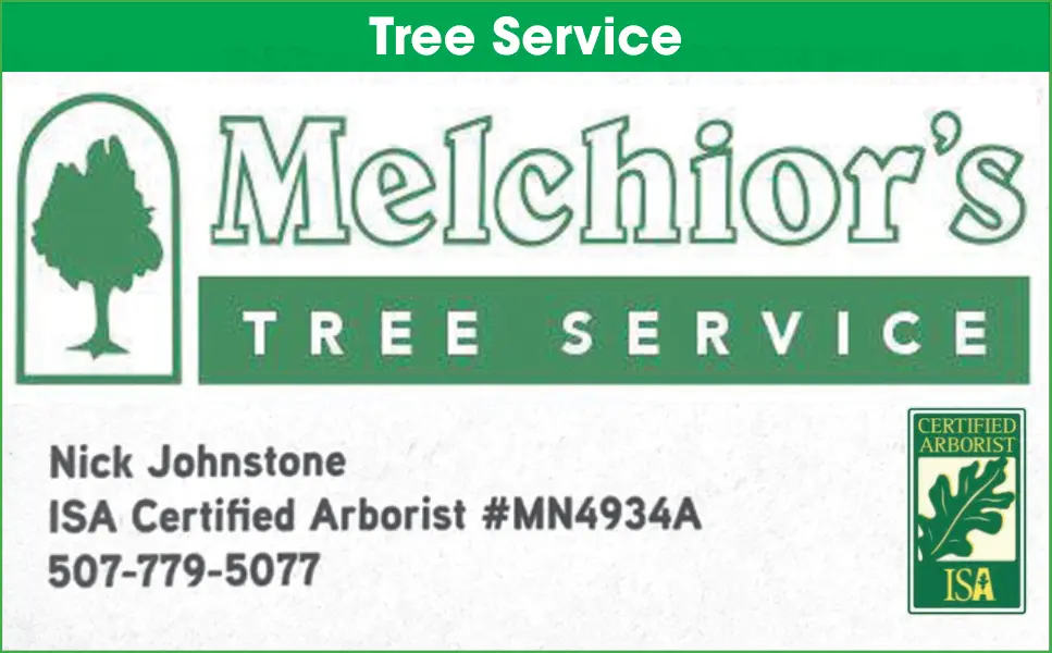 Expert Tree Service & Arborist – Southern Minnesota
