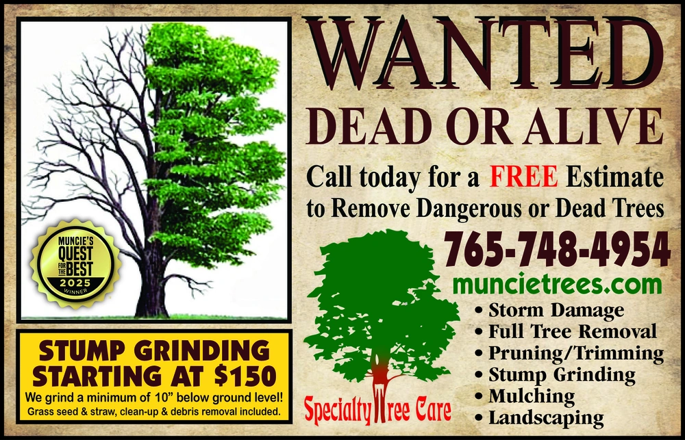 Trusted Tree Services & Stump Grinding in Muncie, Indiana