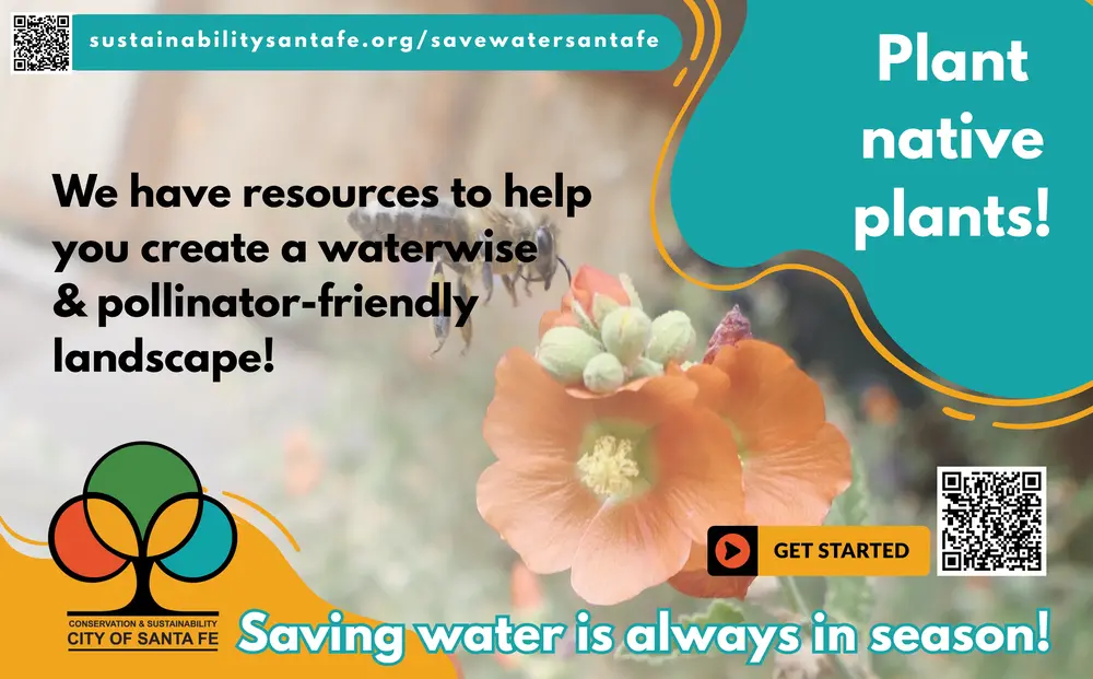 Plant Native Plants!