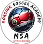 Morsink Soccer Academy