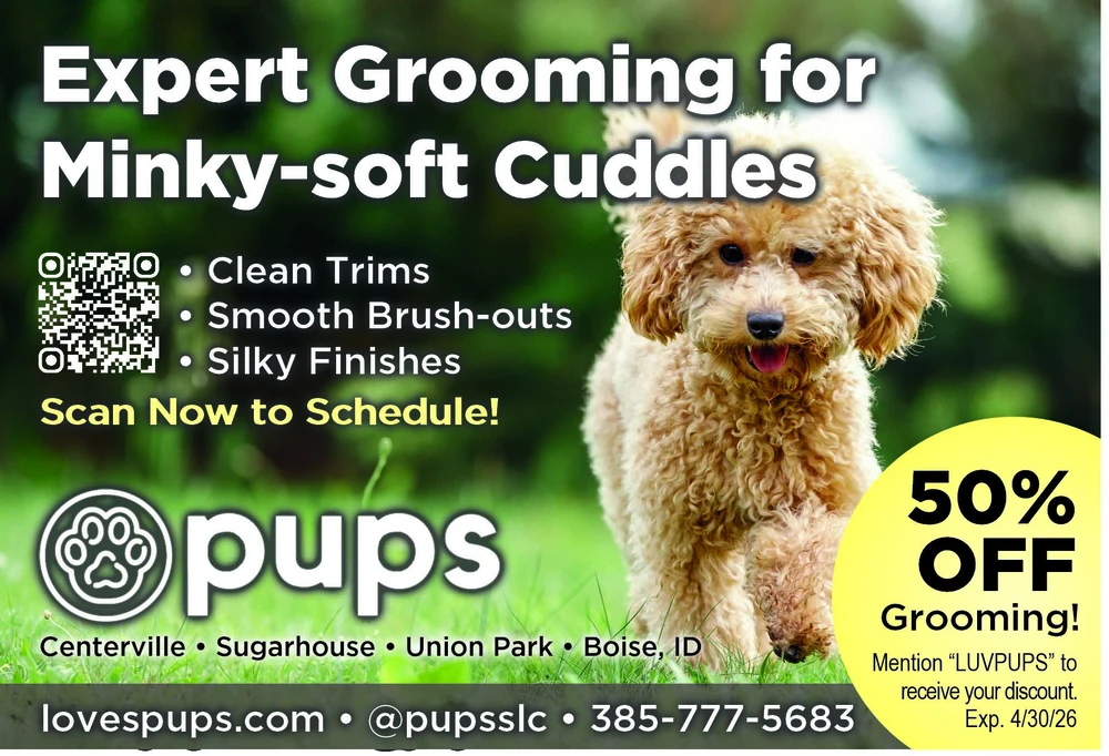 Pups Pet Grooming in Centerville, UT