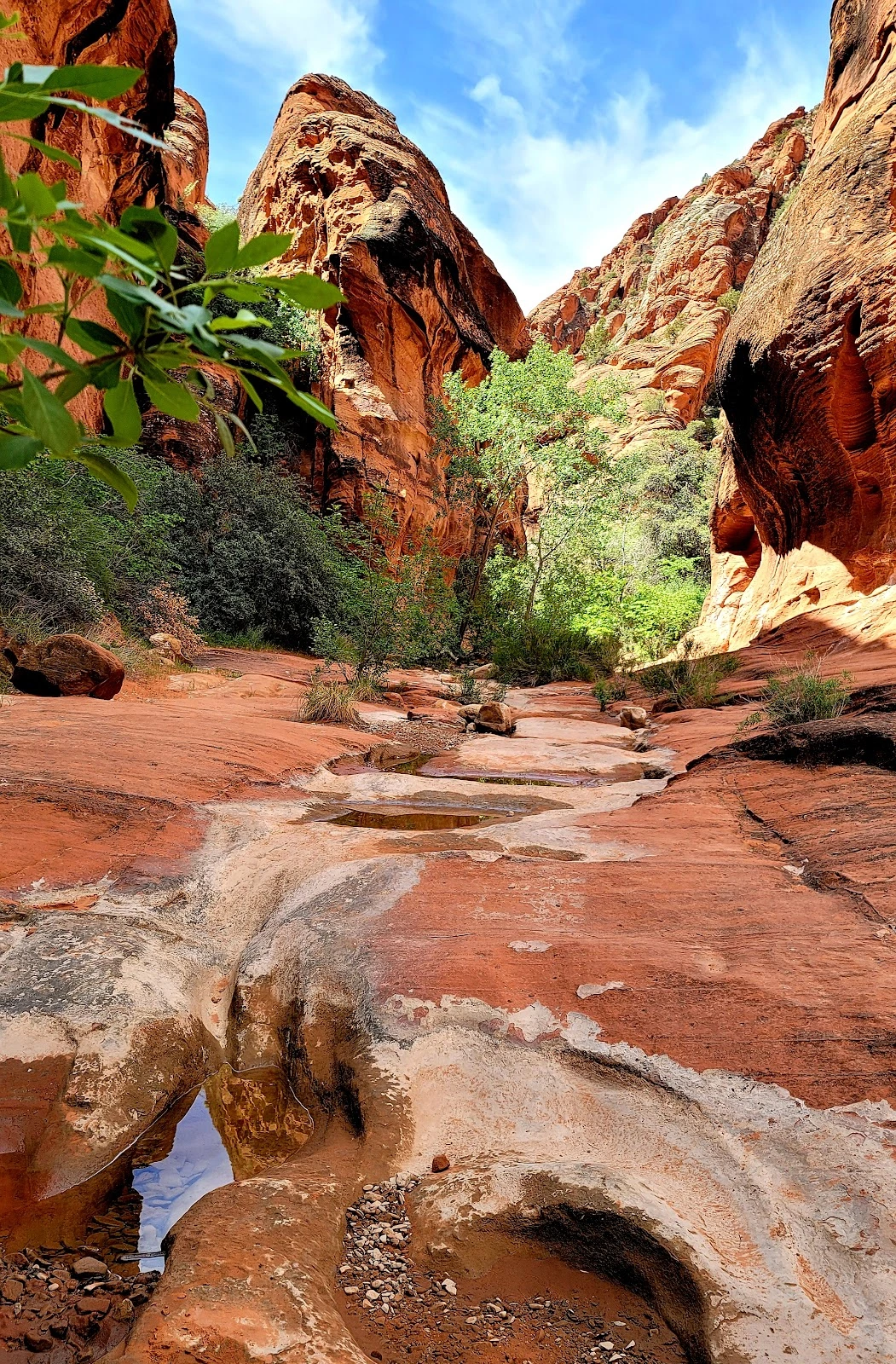 Red Cliffs