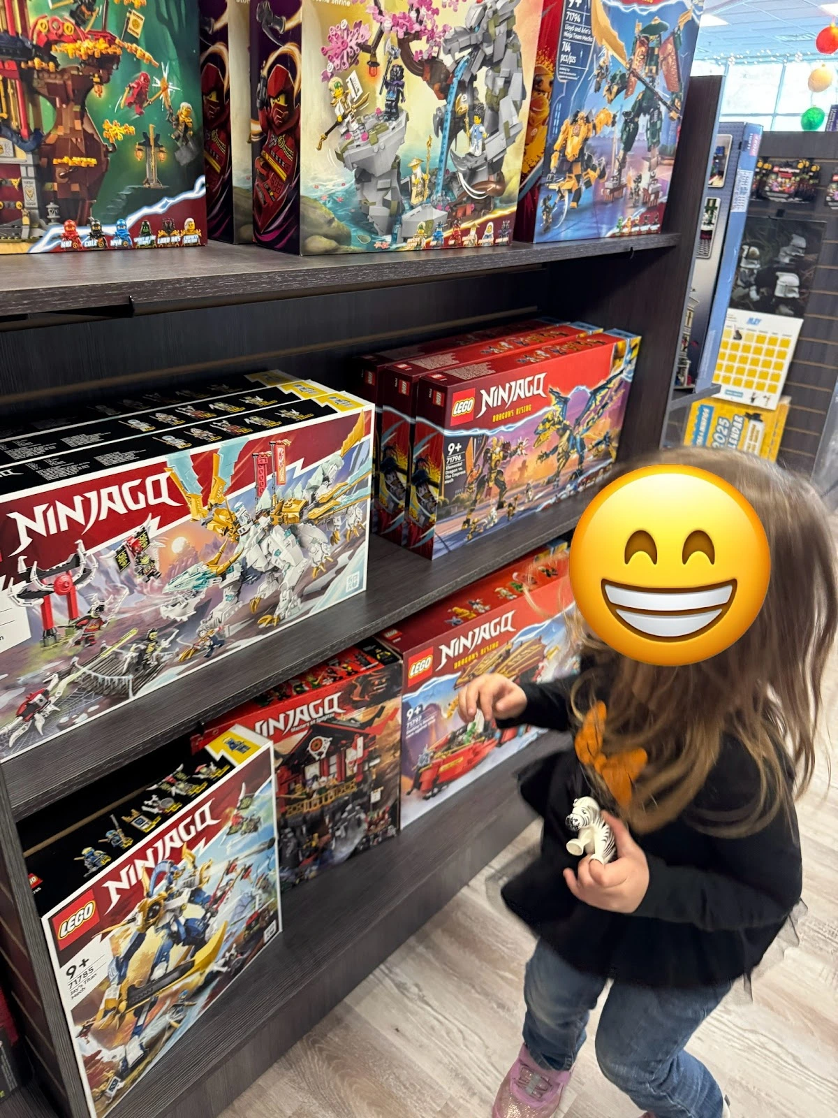 Bricks & Minifigs
