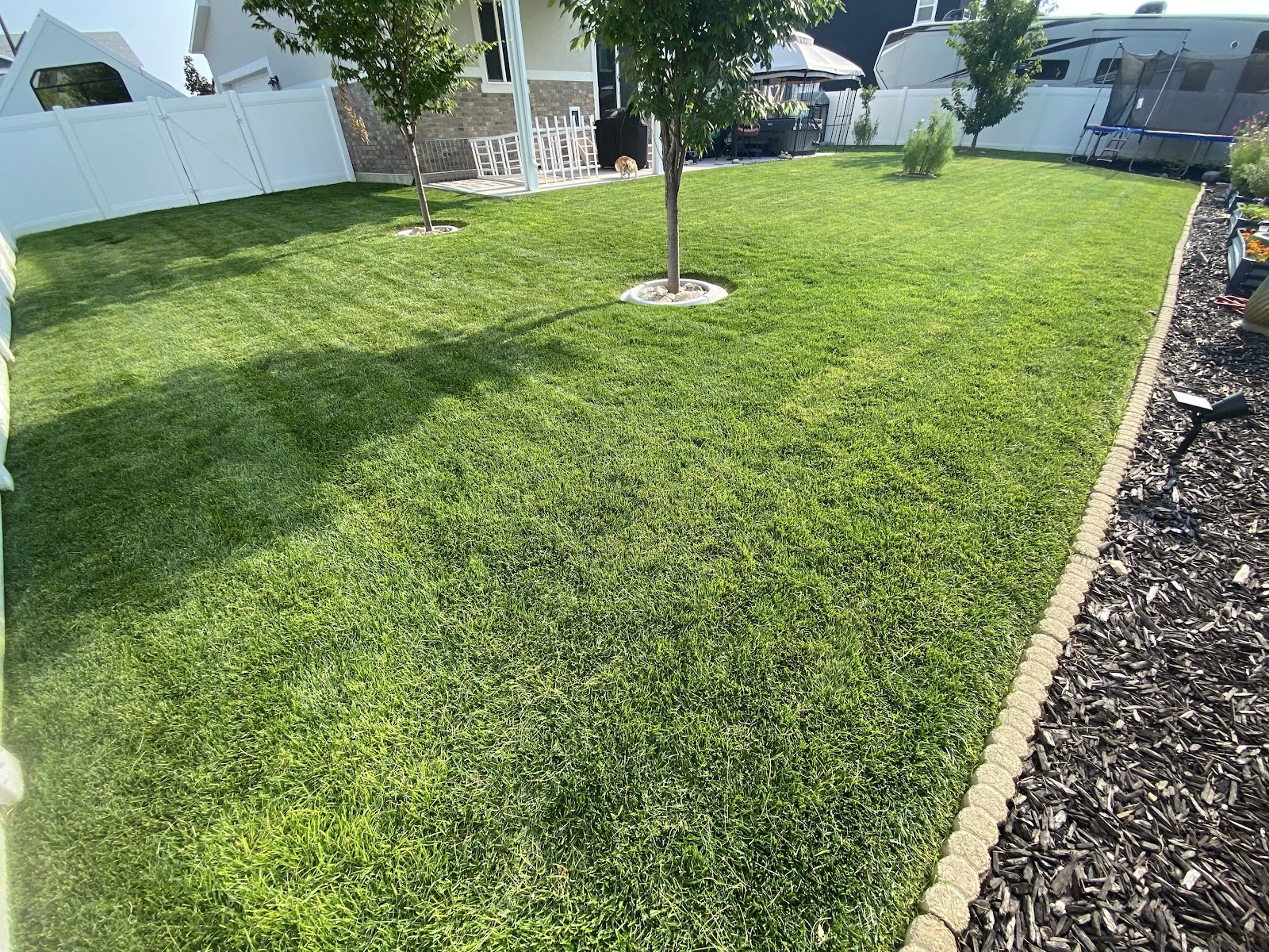 AGC Window Washing & Landscaping