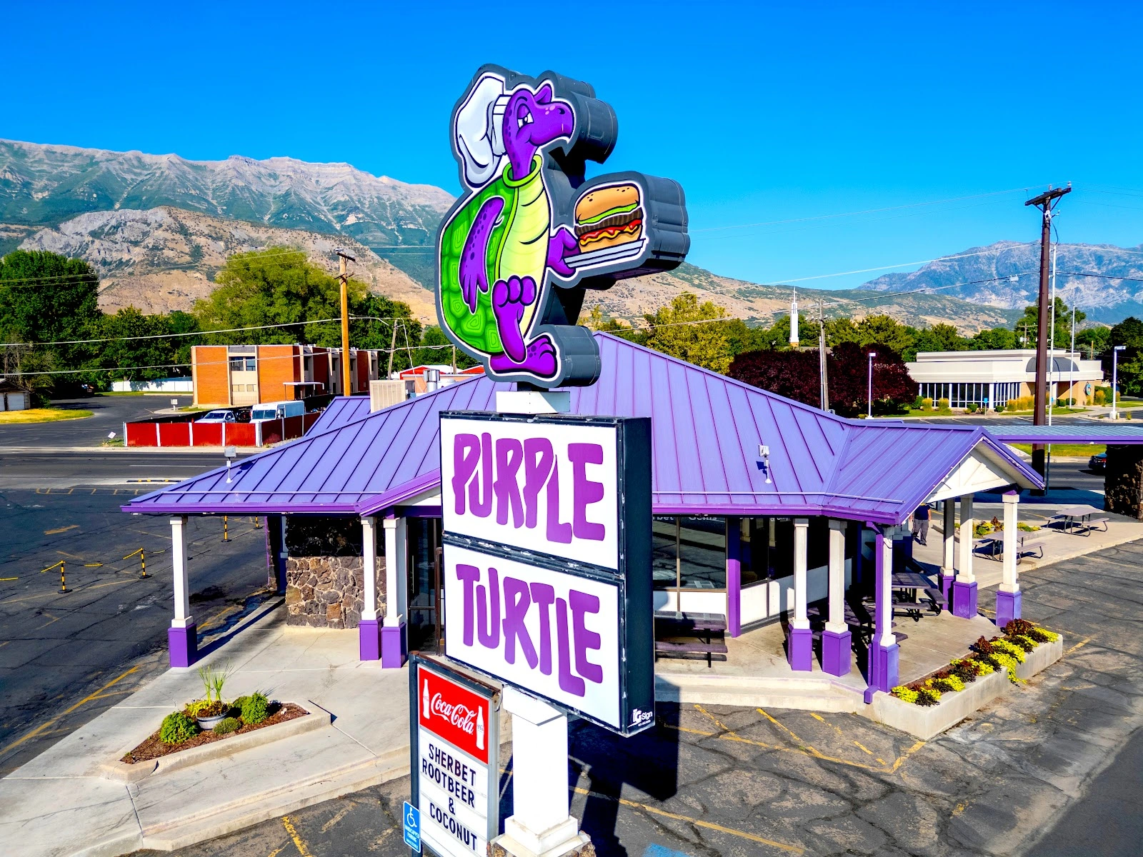Purple Turtle