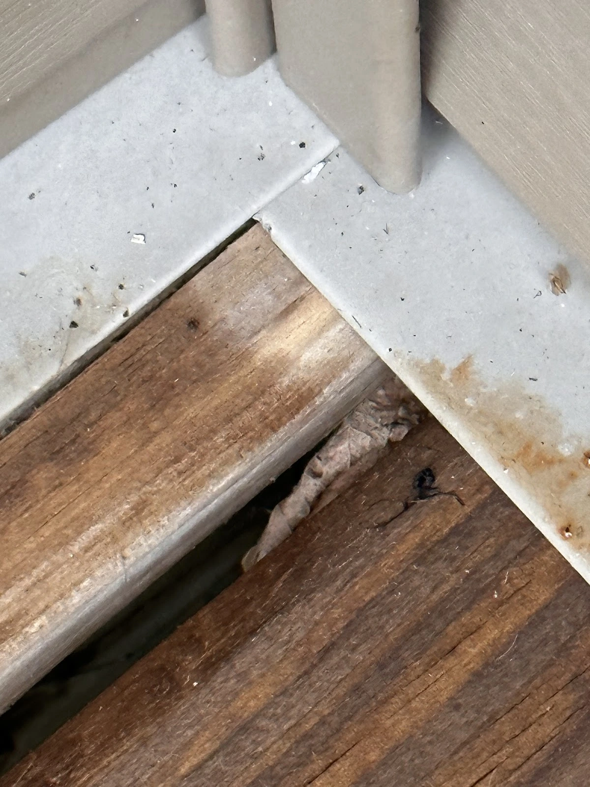 Roof-to-Deck Restoration