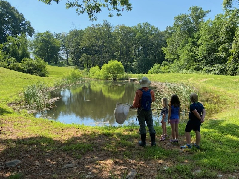 Wakefield School Summer Camps