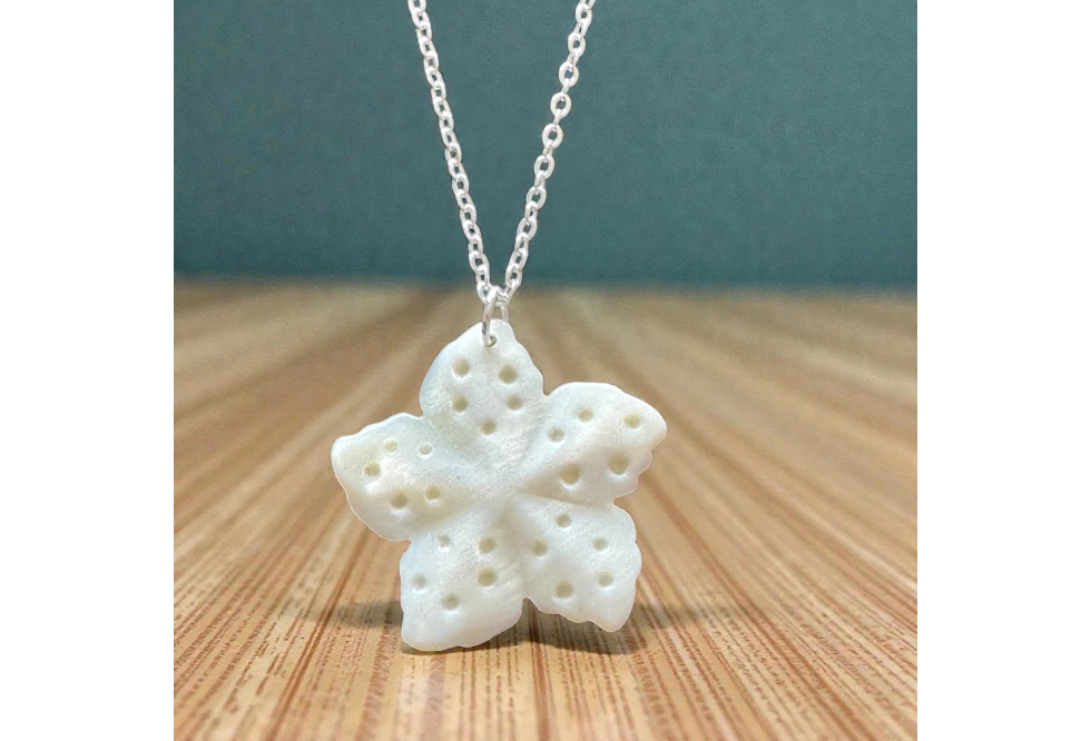 Jackie Gallagher Designs