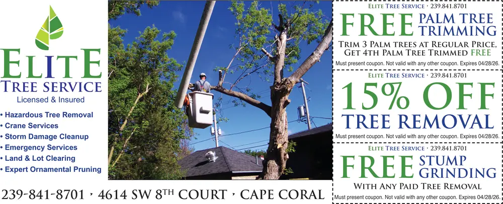 Coupons for Elite Tree Service