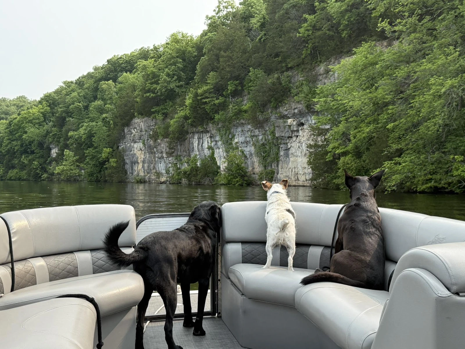 WFO Watersports Boat and Jet Ski Rentals Lake of the Ozarks