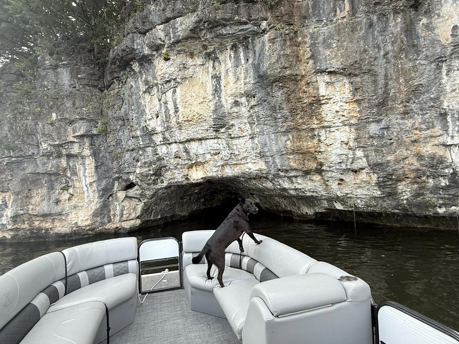 WFO Watersports Boat and Jet Ski Rentals Lake of the Ozarks