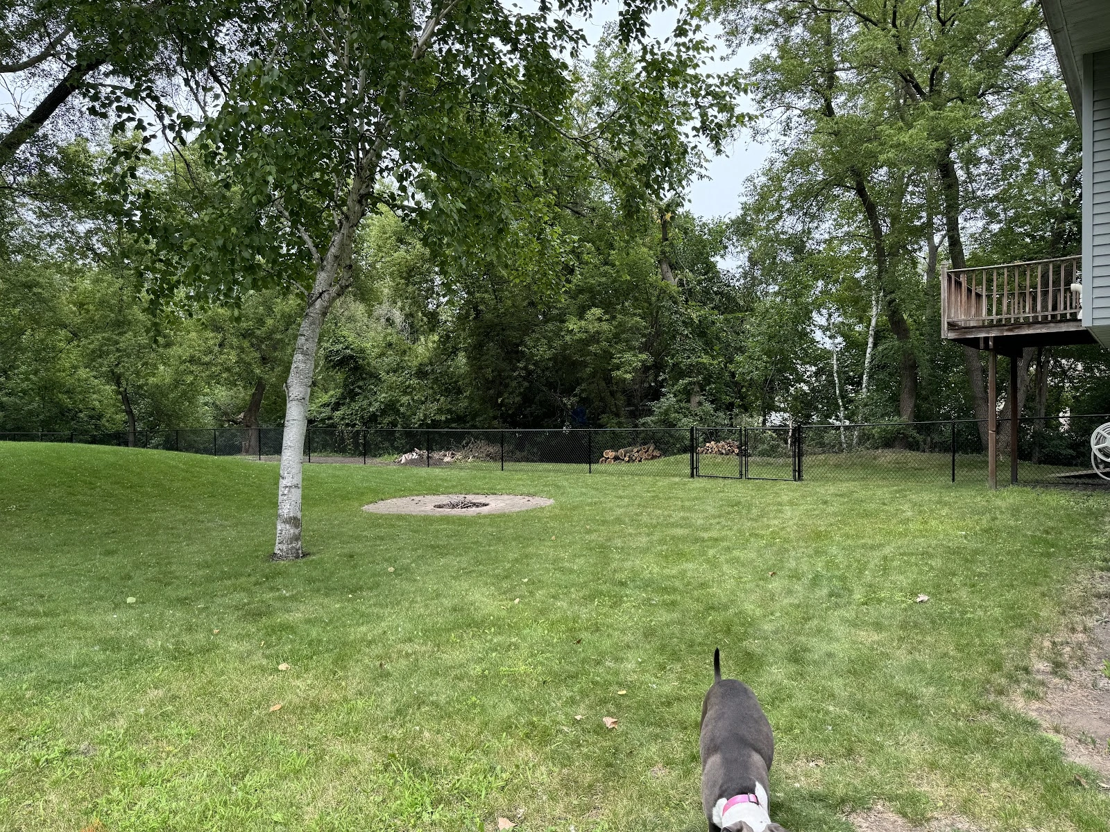 Mark's Fence & Concrete