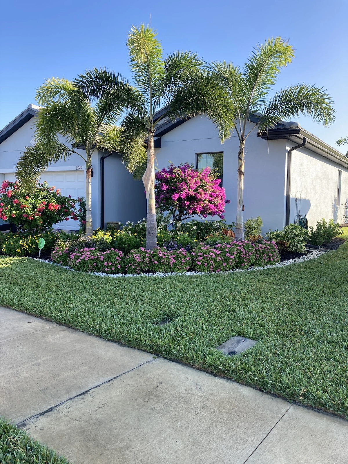 Sherlock Homes Pest Control & Irrigation, LLC