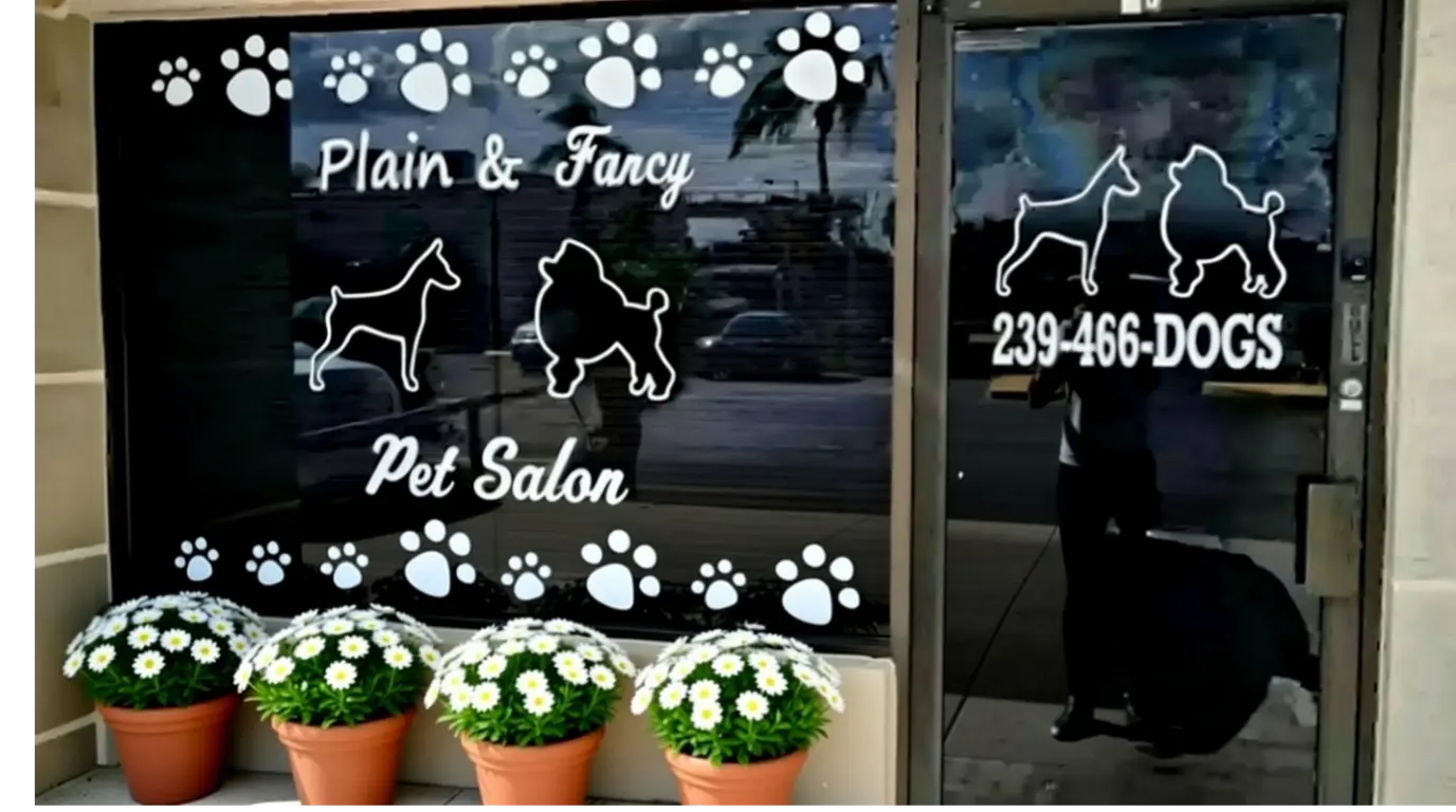 Plain & Fancy Pet Salon