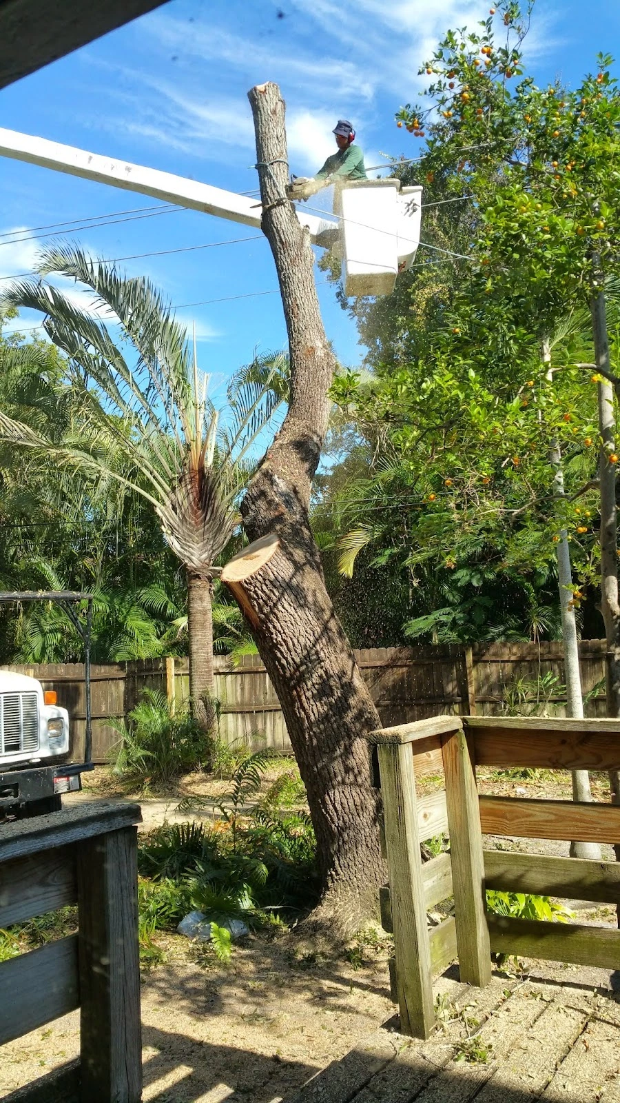 Hudson's Tree Service