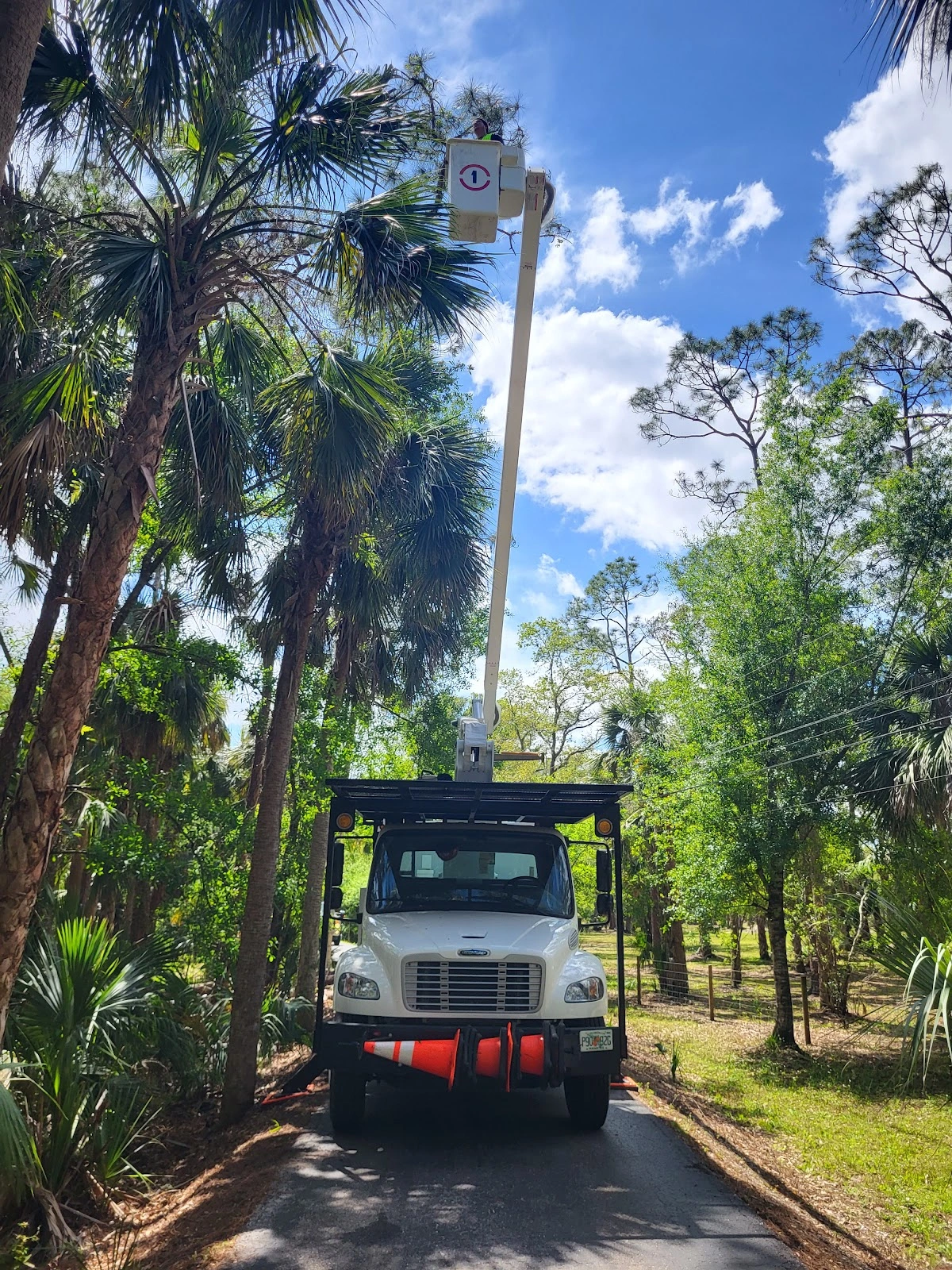 Hudson's Tree Service