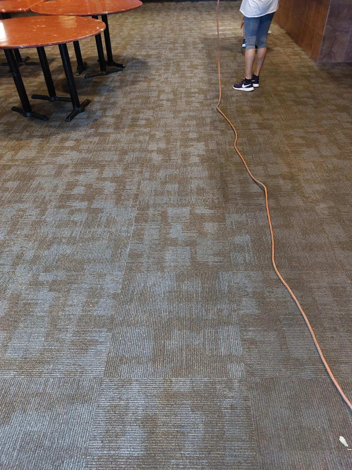 HammerHead Cleaning Services, Inc.