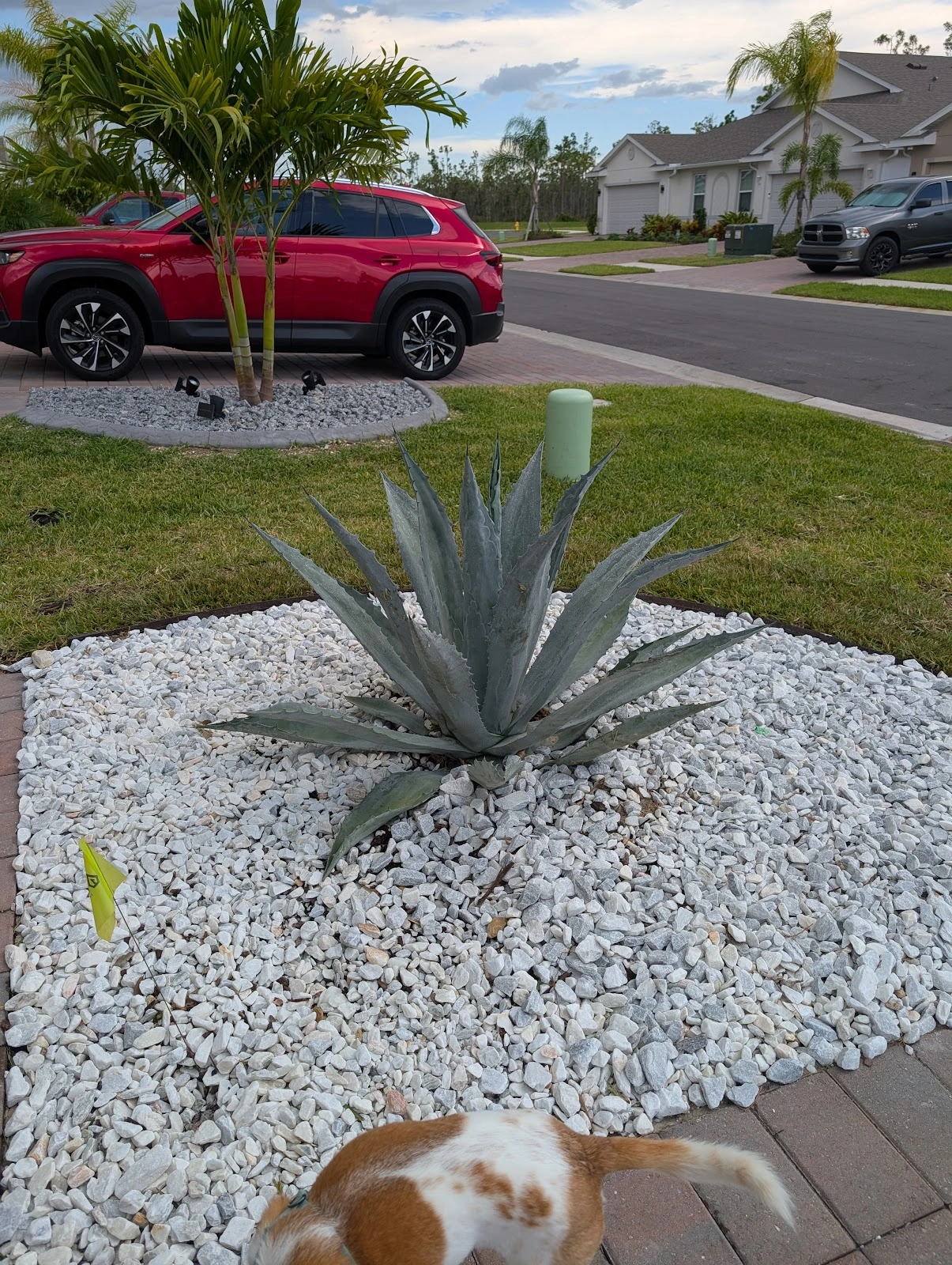 Catherine's Landscape & Garden Center