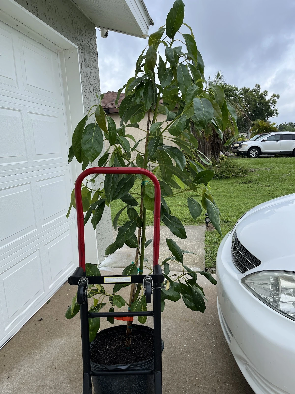 Catherine's Landscape & Garden Center