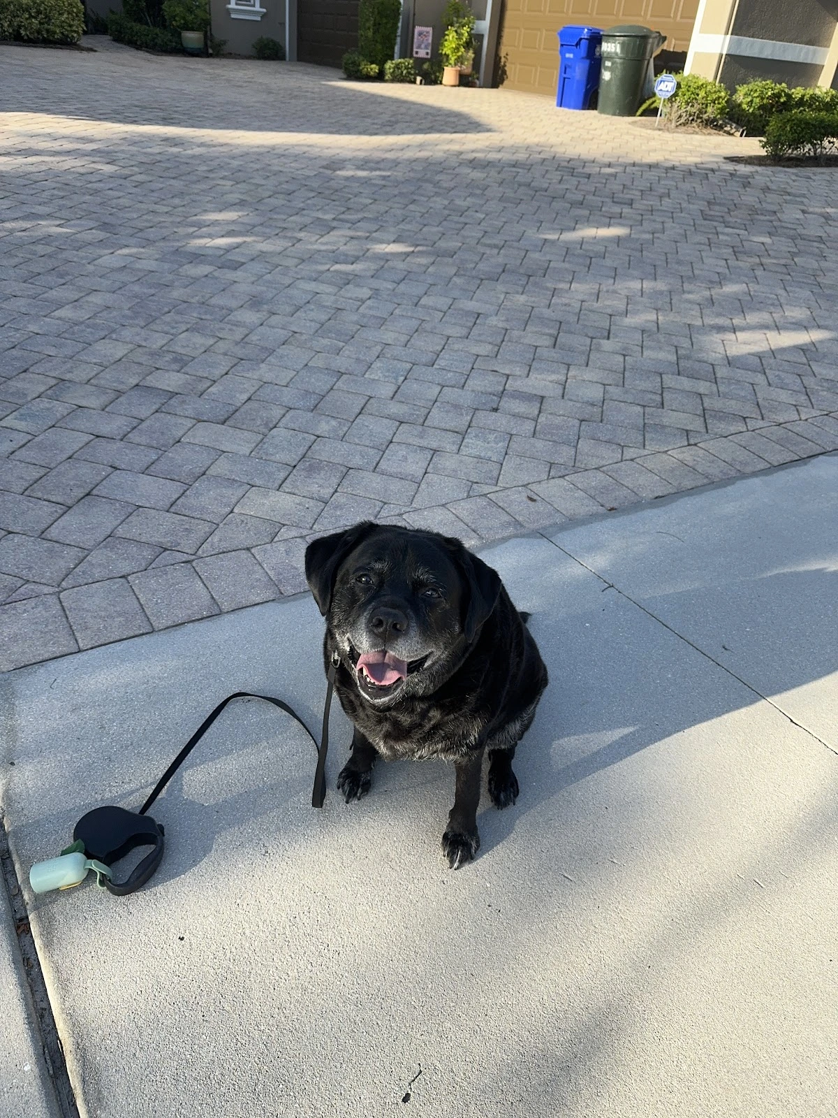 Best Friends Animal Hospital