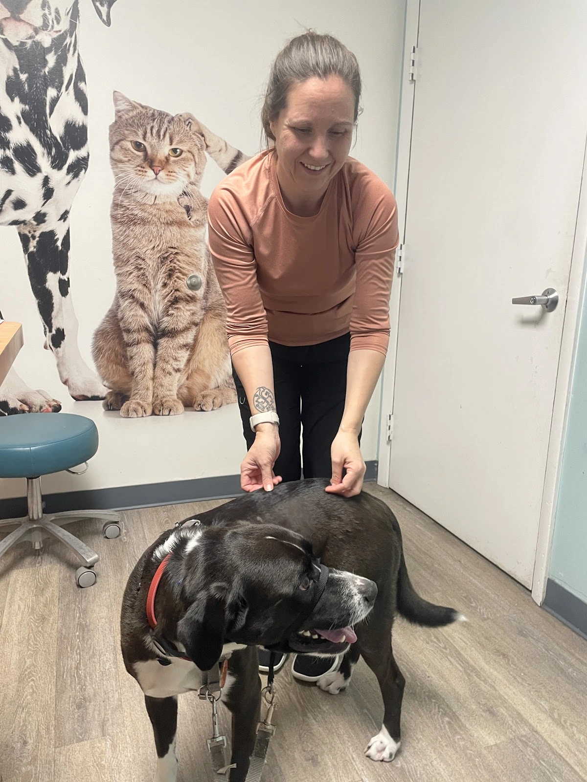 Best Friends Animal Hospital