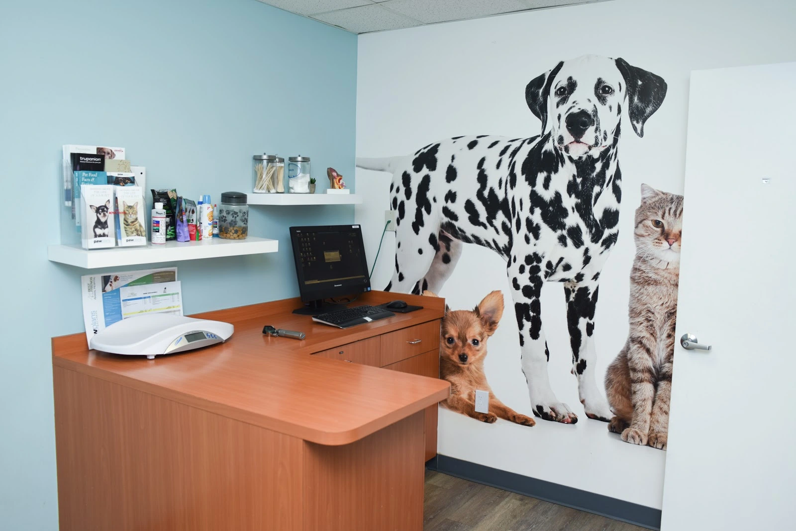 Best Friends Animal Hospital