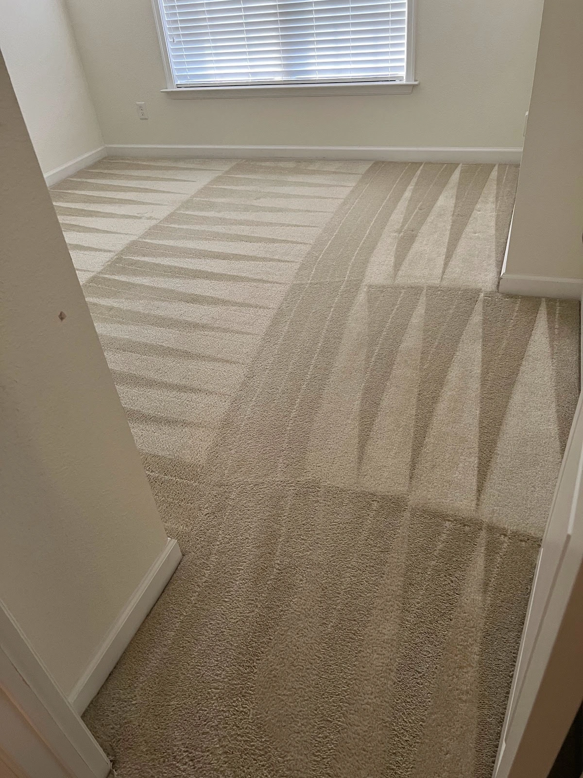 Amy Conley's Cleaning Service